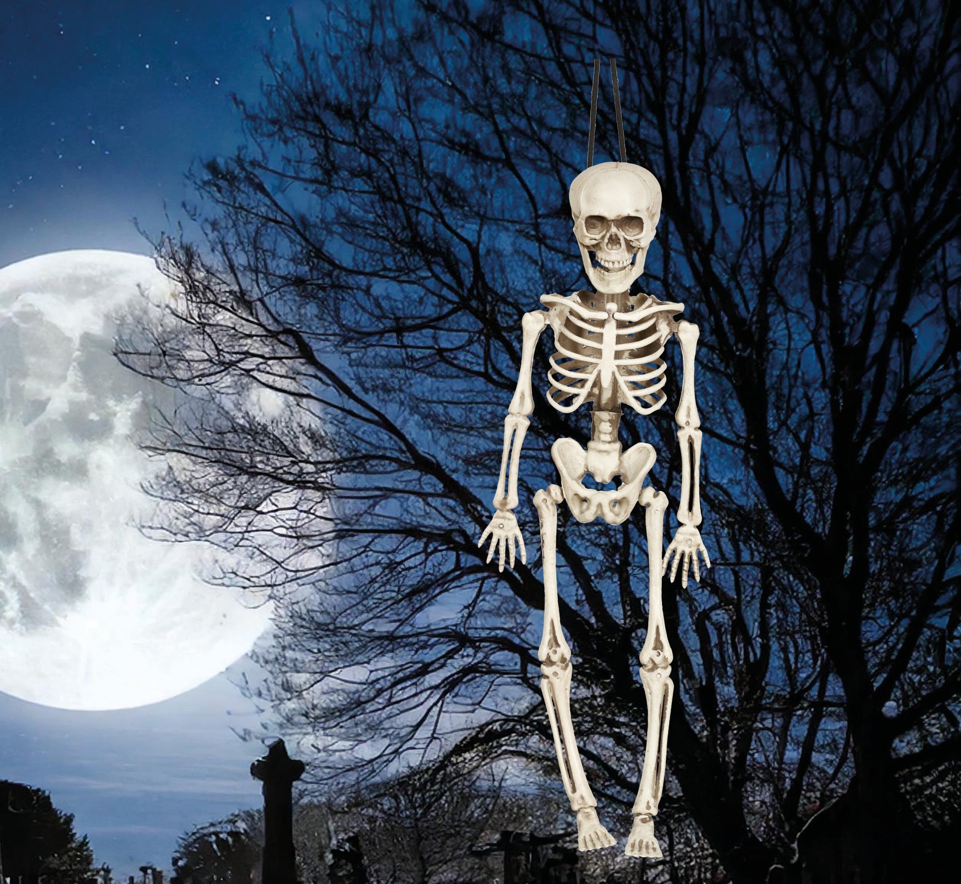SKELETON 40 CM