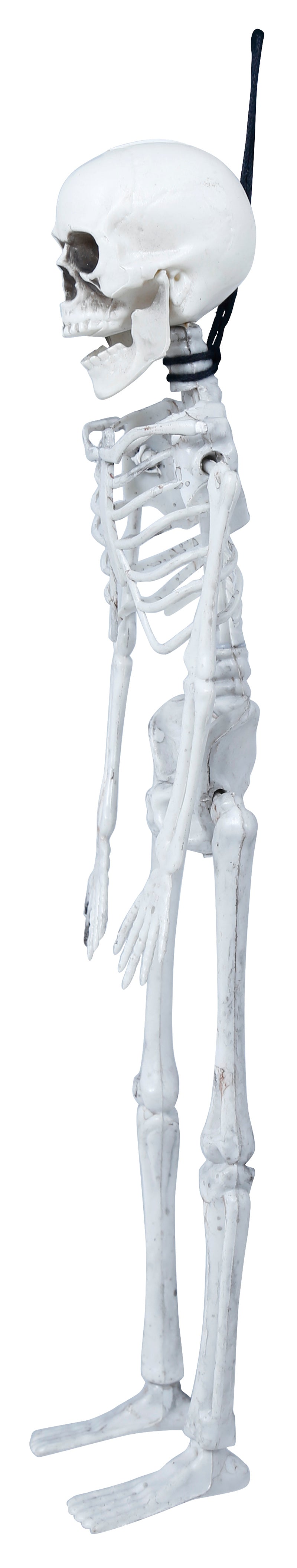 SKELETON 40 CM