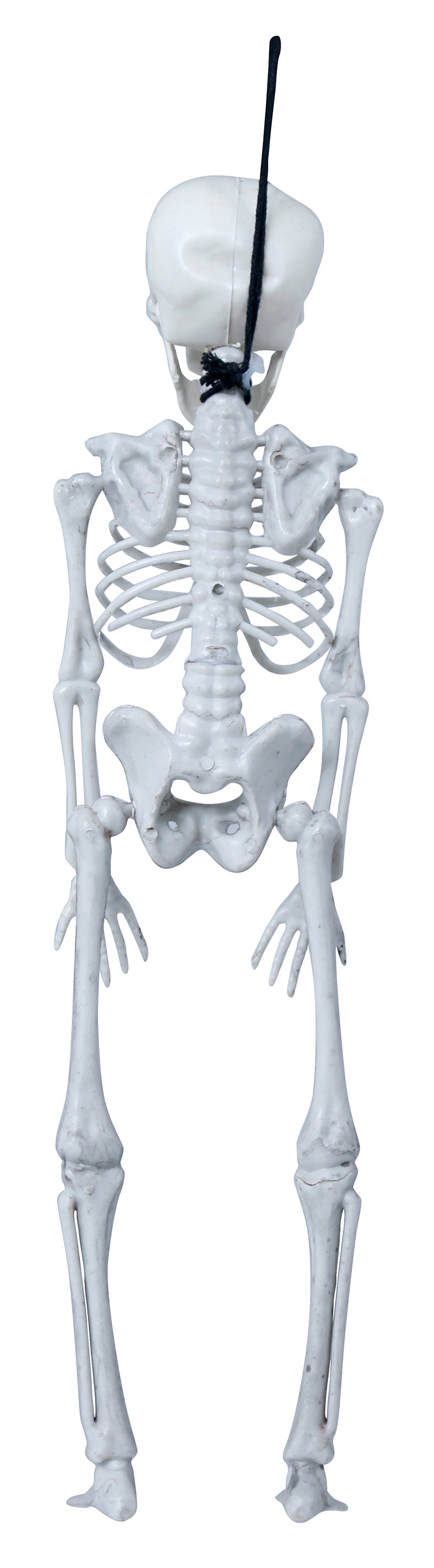 SKELETON 40 CM