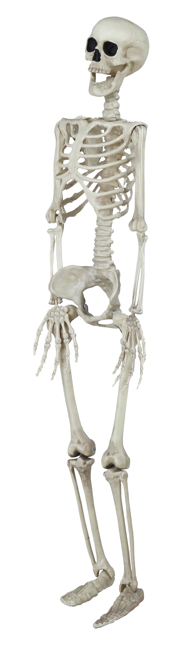SKELETON 90 CM