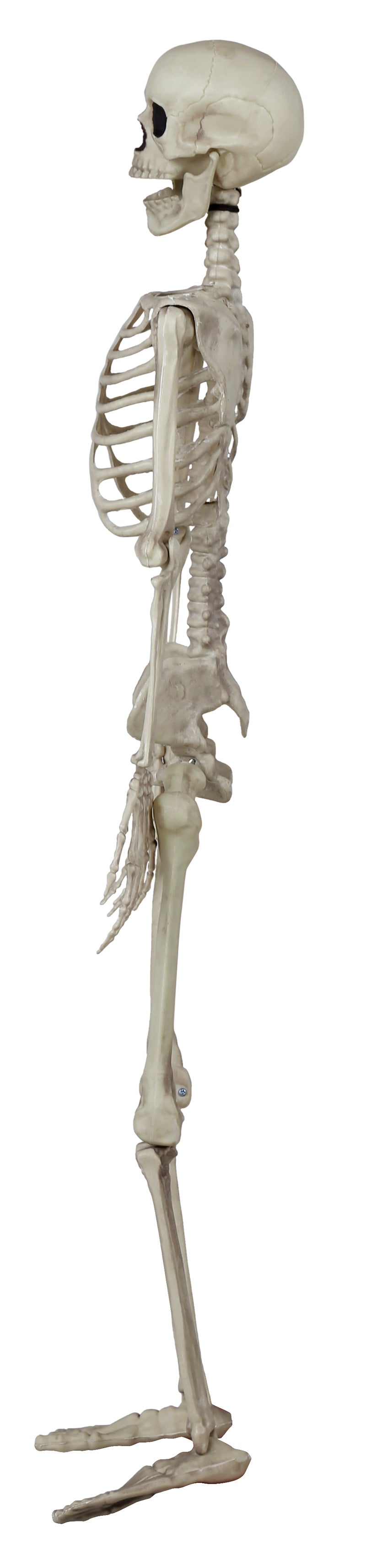 SKELETON 90 CM