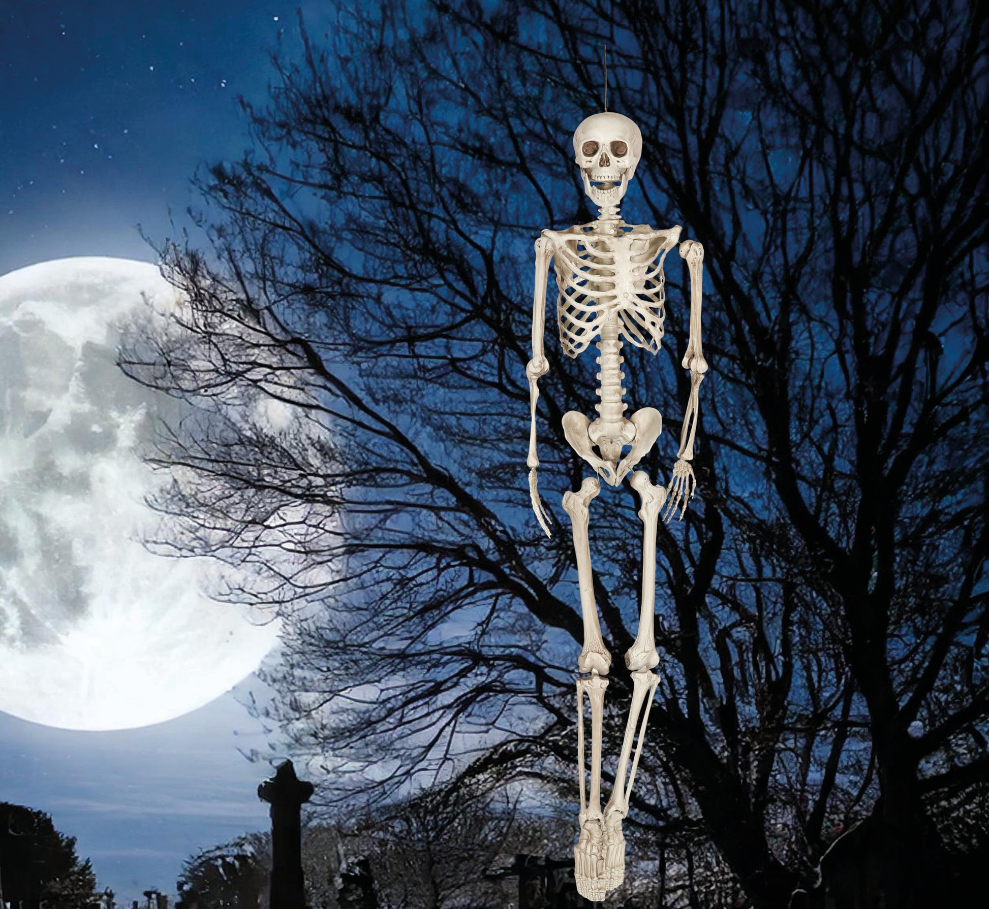 SKELETON 160 CM