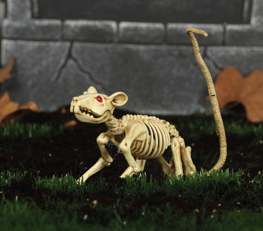RAT SKELETON 20 CM