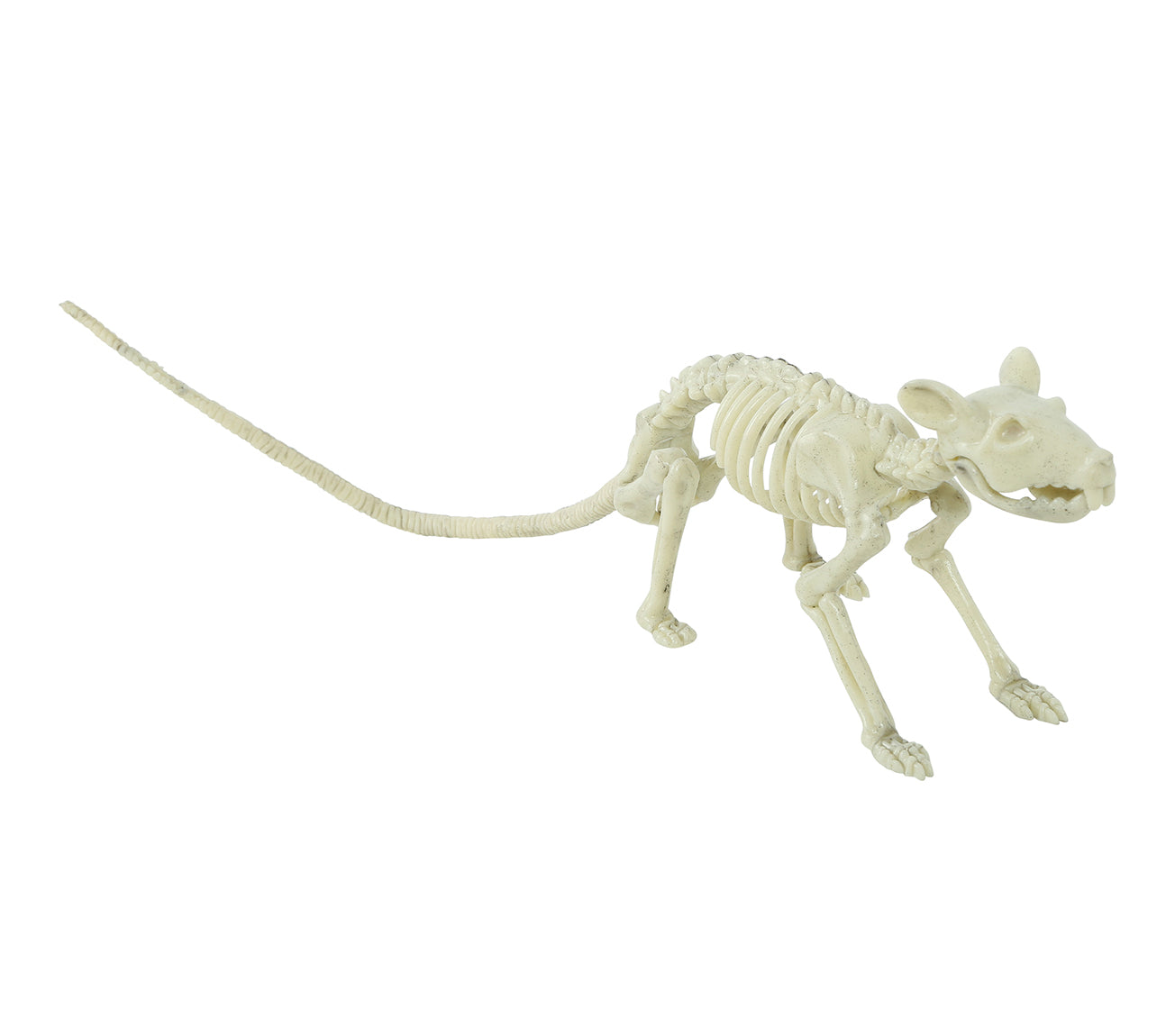 RAT SKELETON 20 CM
