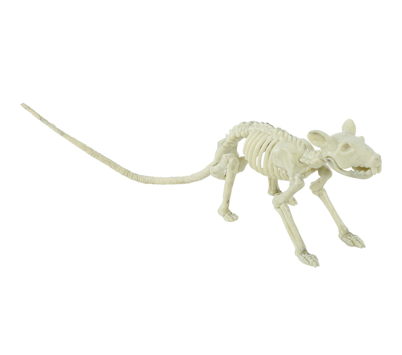 RAT SKELETON 20 CM