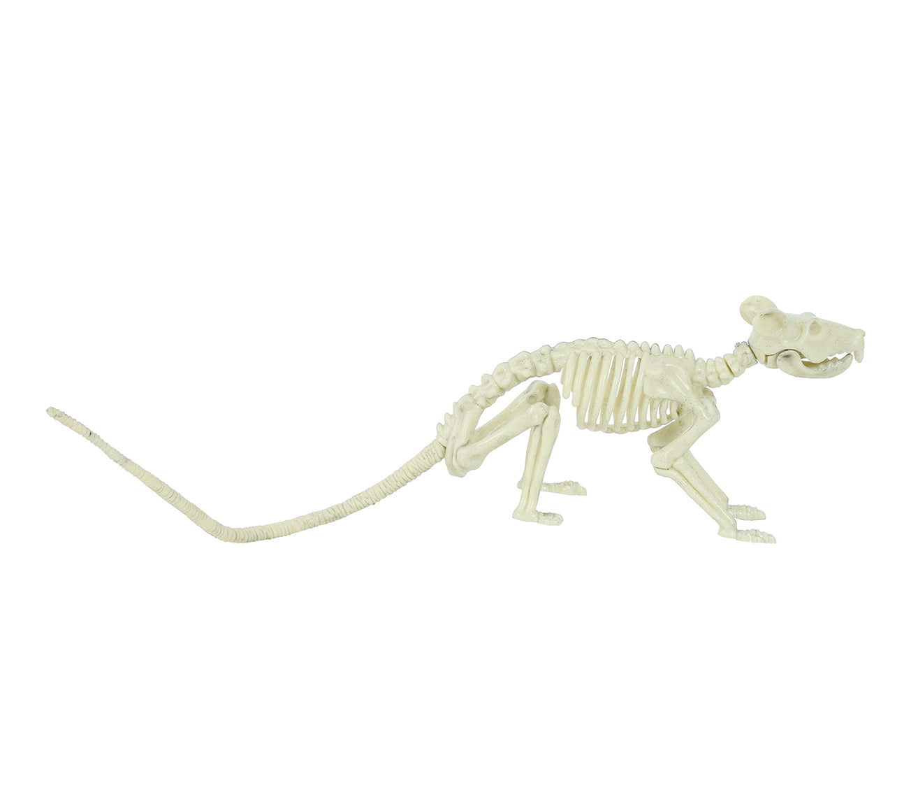 RAT SKELETON 20 CM