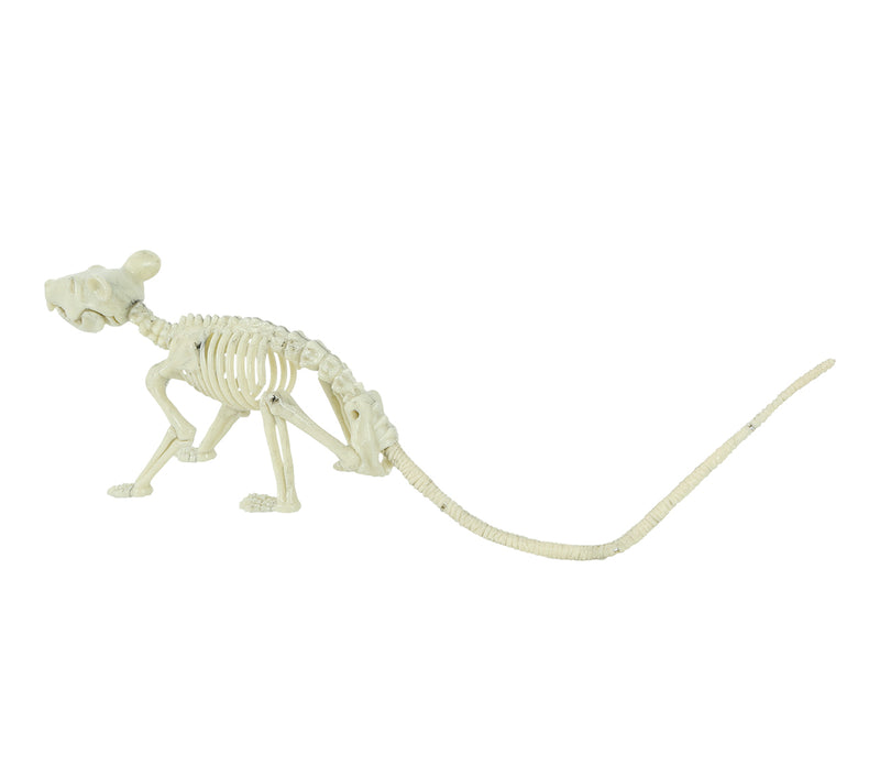 RAT SKELETON 20 CM