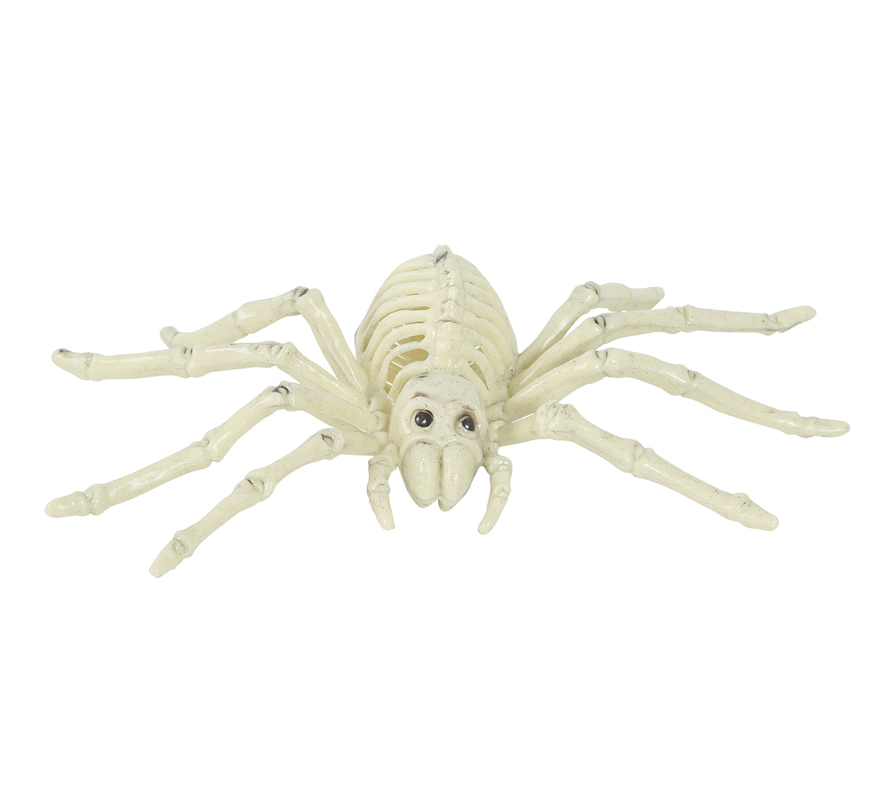 SPIDER SKELETON 24 CM