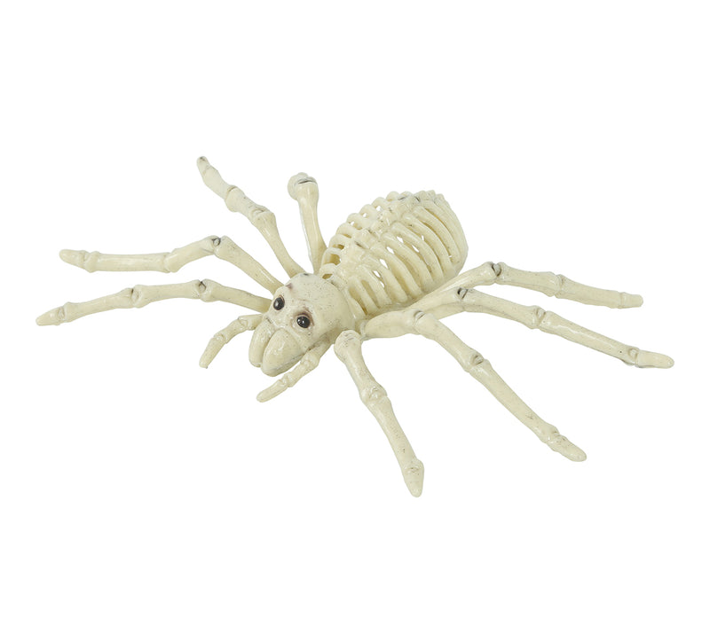 SPIDER SKELETON 24 CM