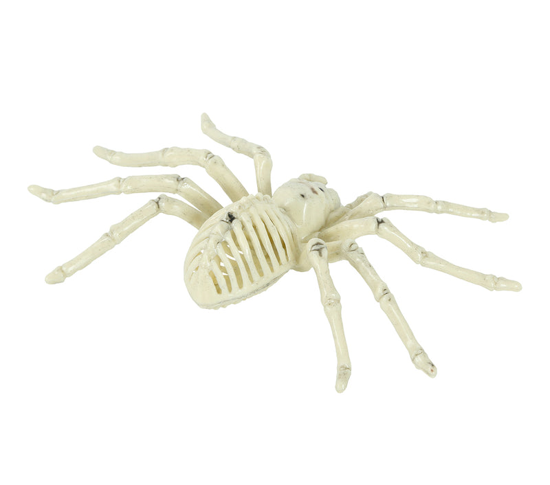 SPIDER SKELETON 24 CM
