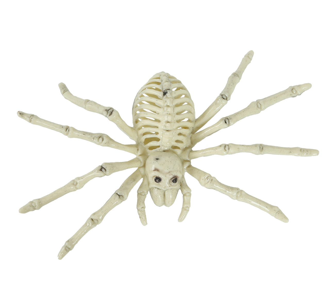 SPIDER SKELETON 24 CM