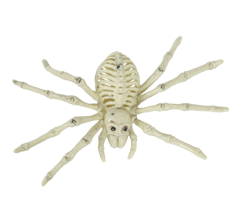SPIDER SKELETON 24 CM