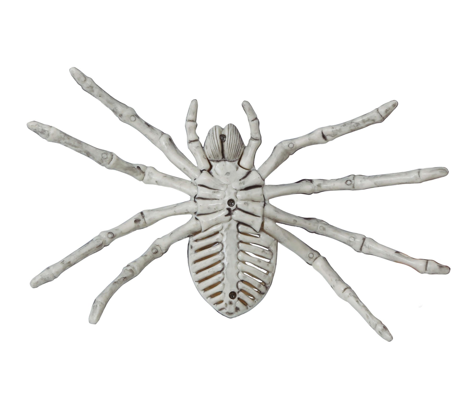 SPIDER SKELETON 24 CM