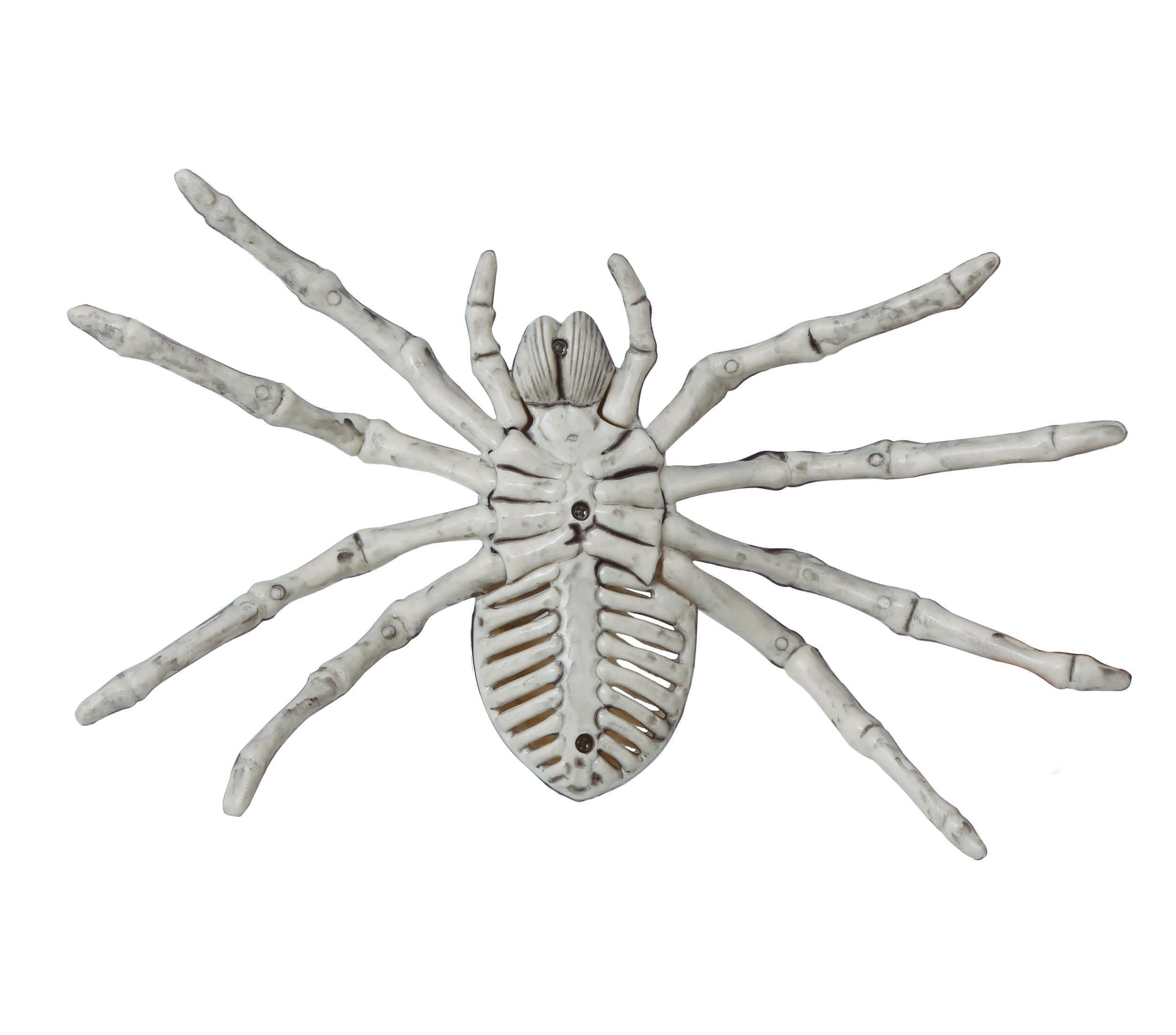 SPIDER SKELETON 24 CM