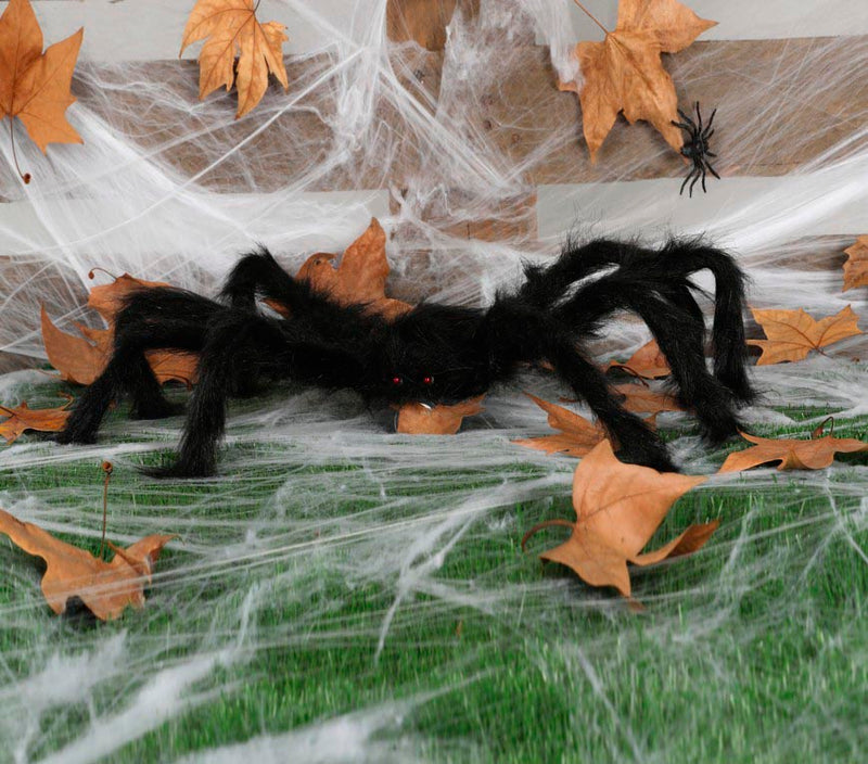 BLACK  SPIDER 70 CM