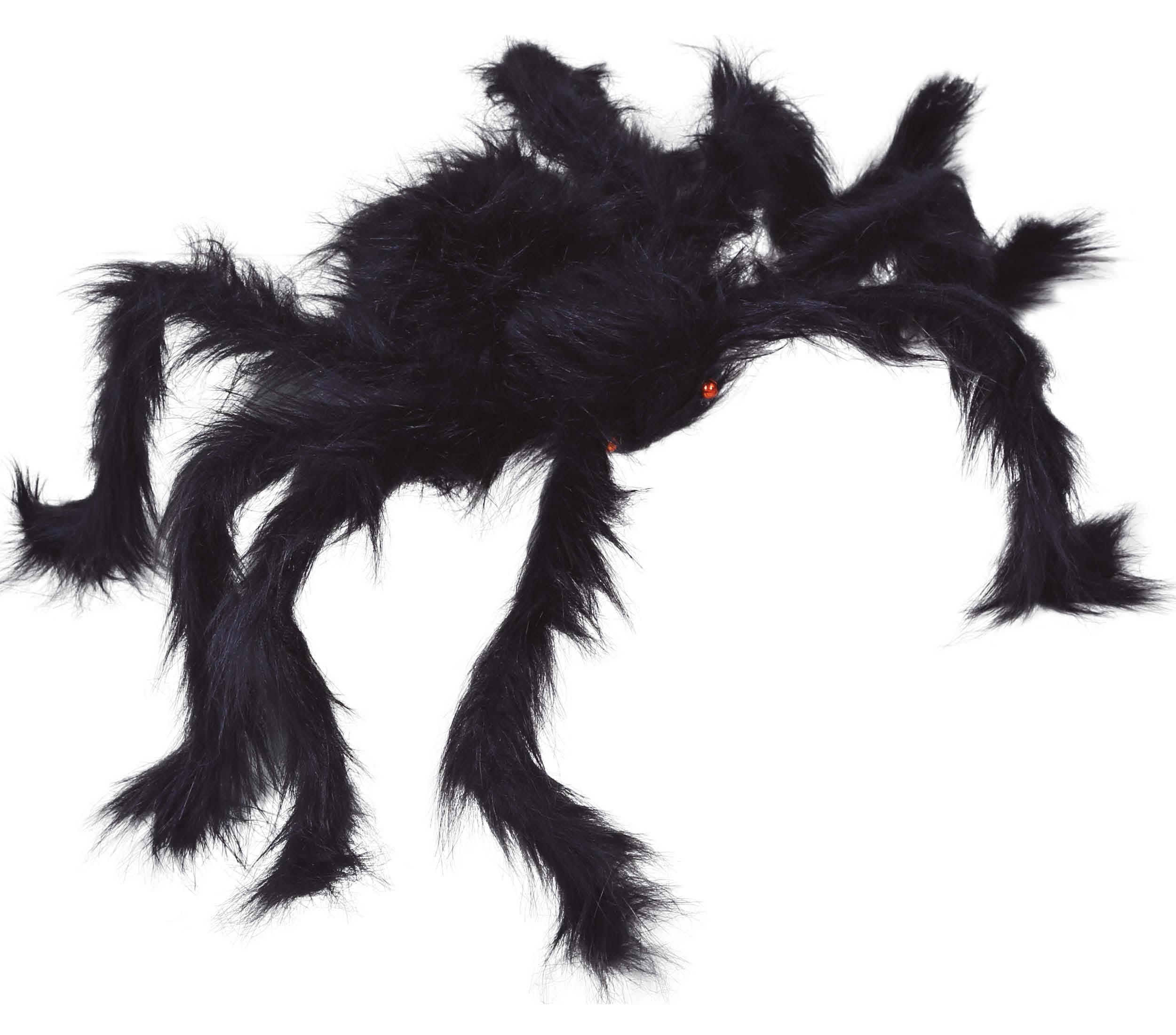 BLACK  SPIDER 70 CM