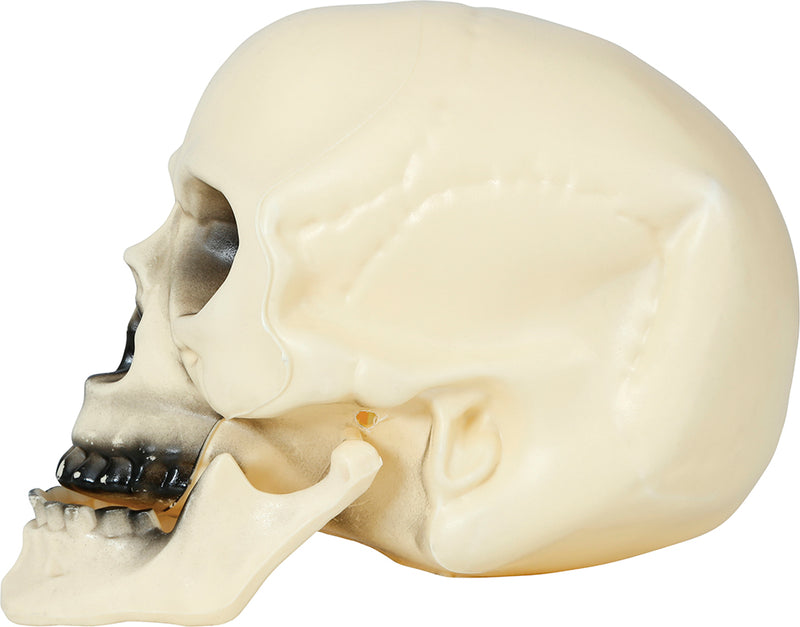 SKULL 20 CM