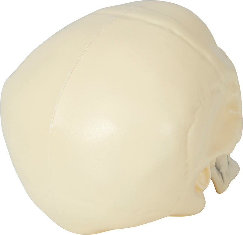 SKULL 20 CM