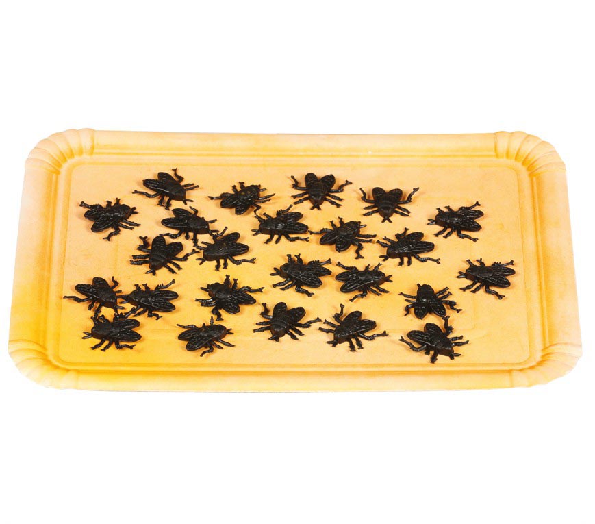 BAG : 24 FLIES 2,5 CM