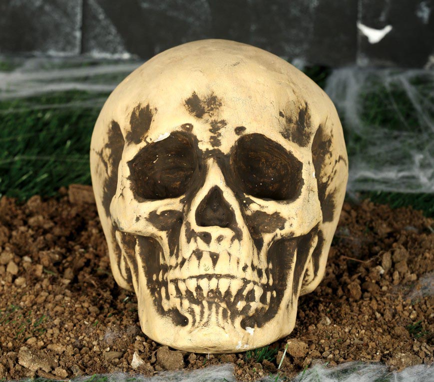 FOAM SKULL 22 CMS