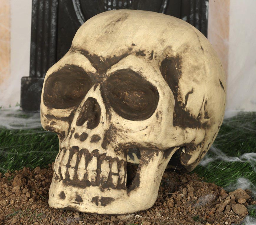 FOAM SKULL 32 CMS