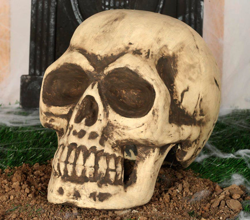 FOAM SKULL 32 CMS