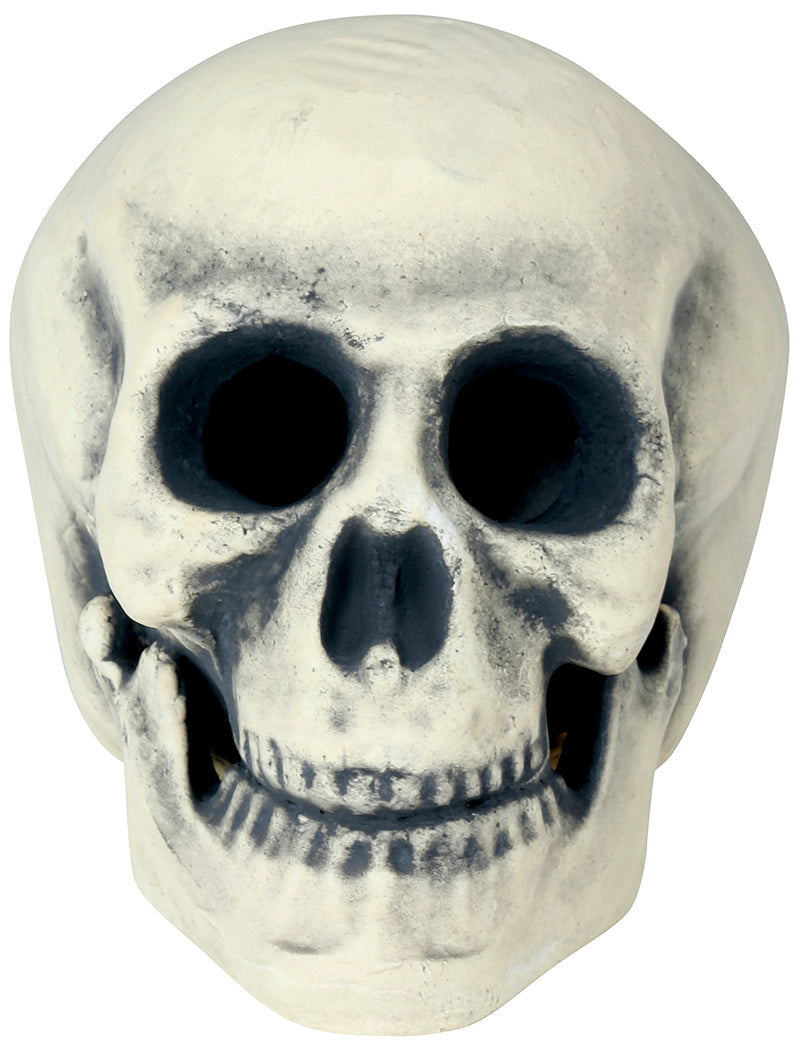FOAM SKULL 32 CMS