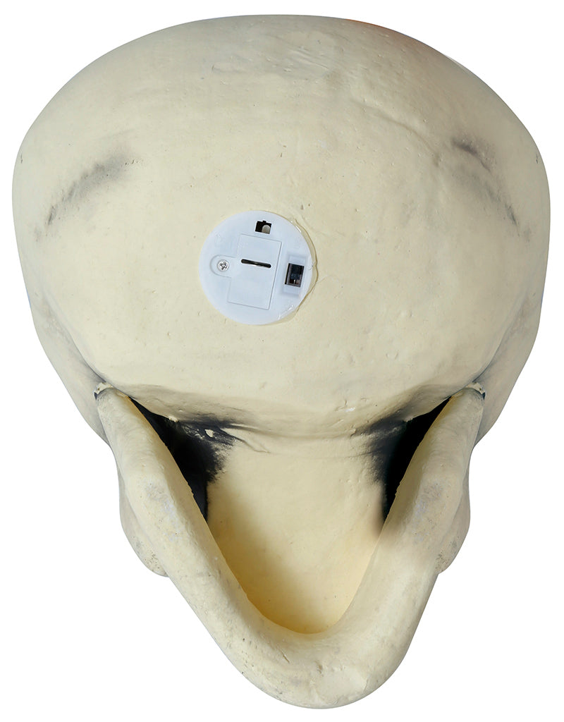 FOAM SKULL 32 CMS