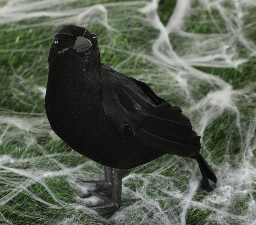CROW 21 cm