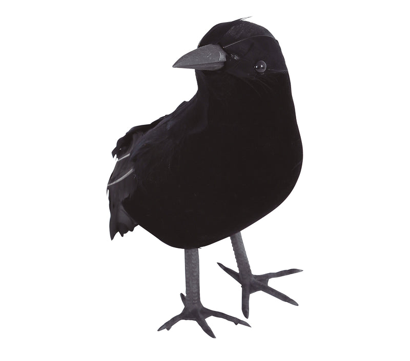 CROW 21 cm