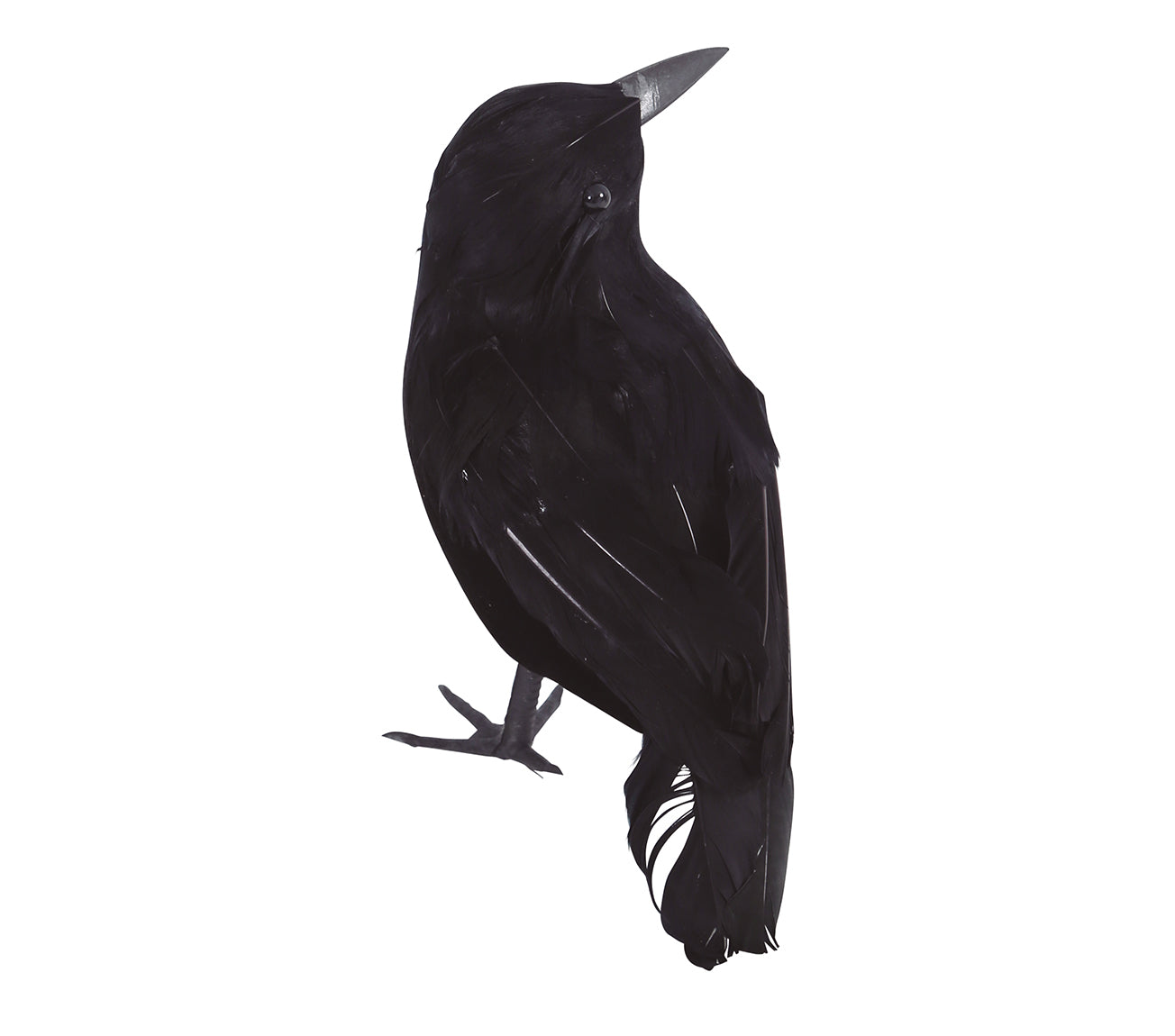 CROW 21 cm