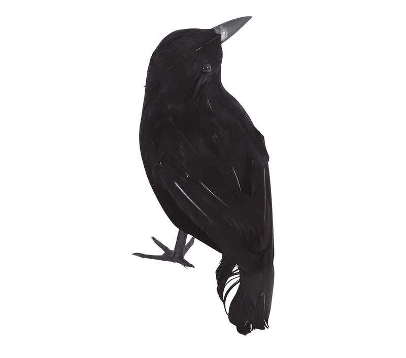 CROW 21 cm