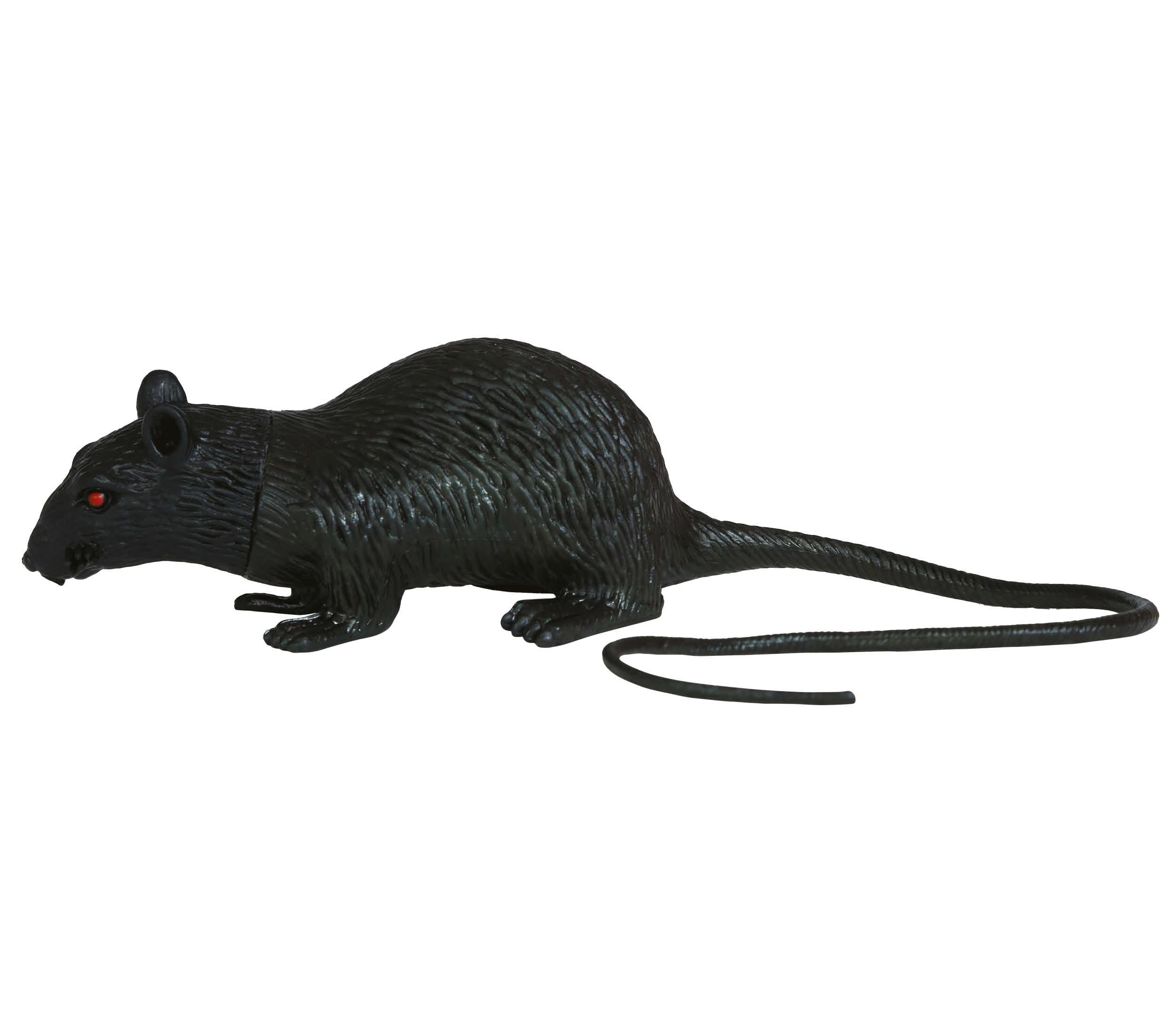 RAT 15 CMS LATEX