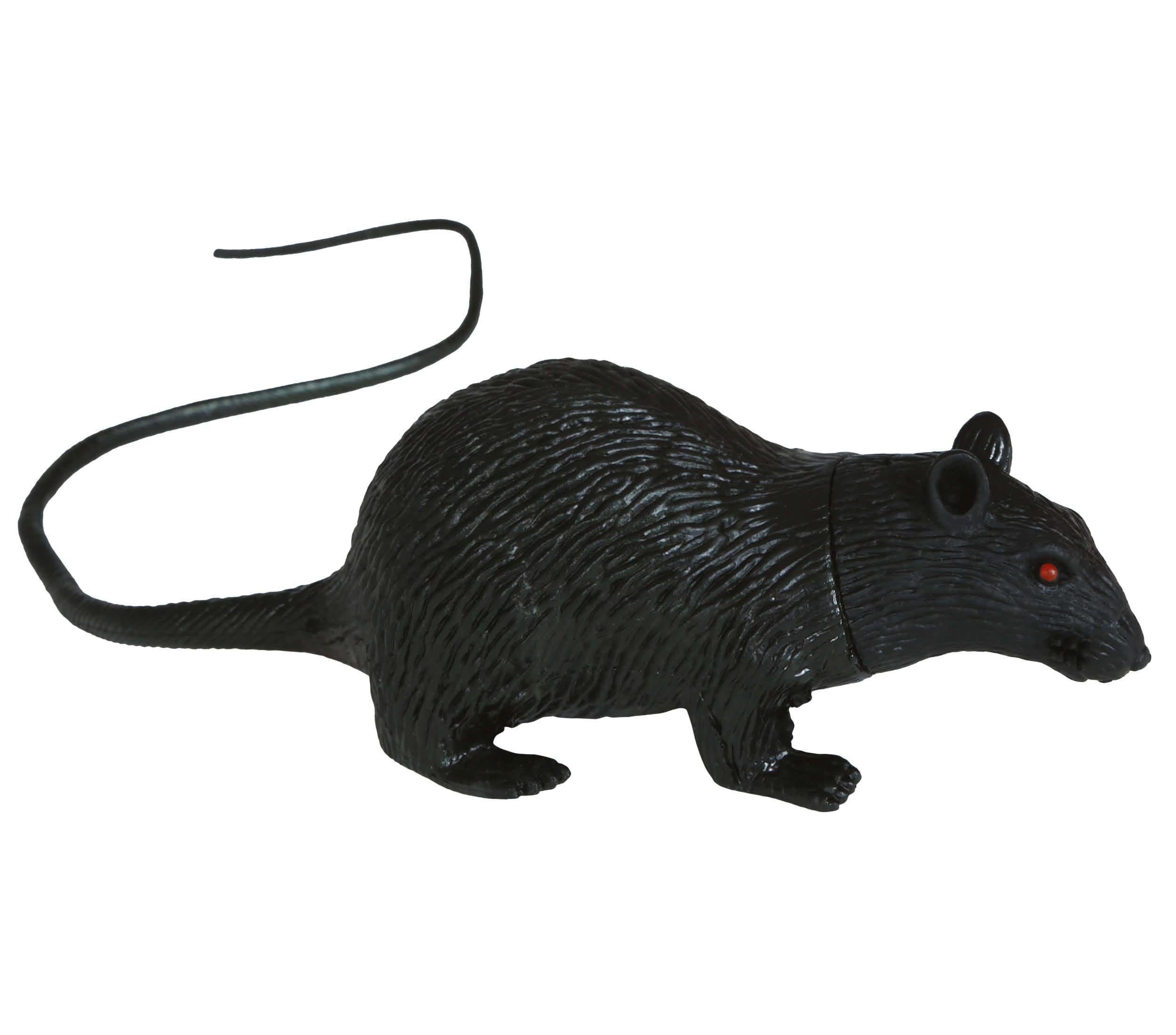 RAT 15 CMS LATEX