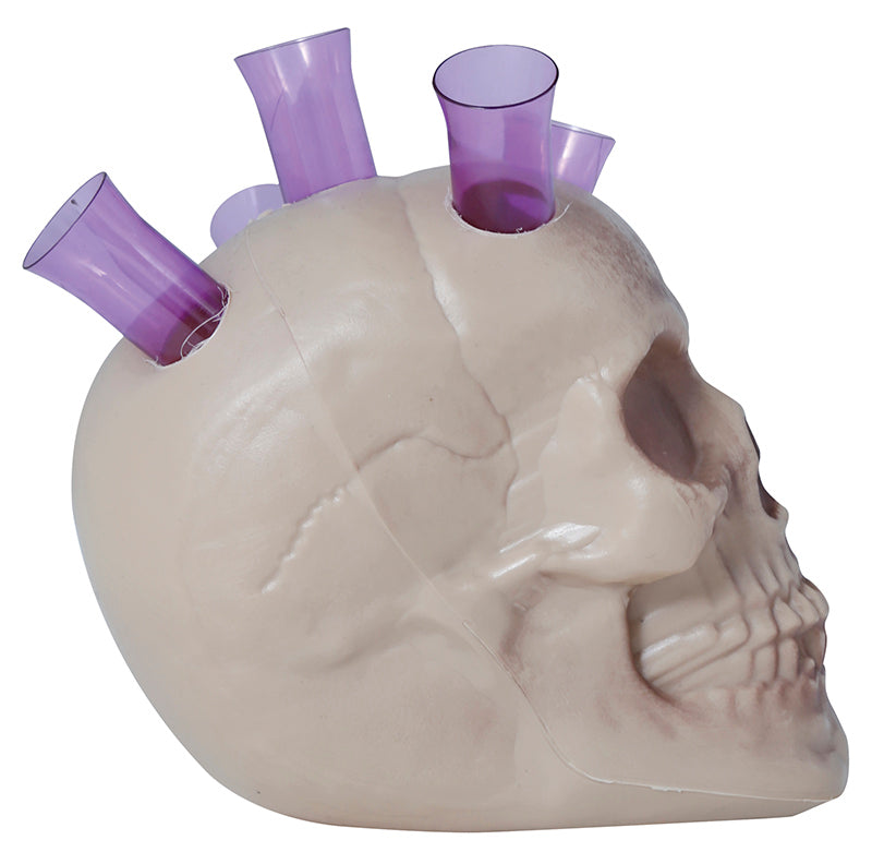 SKULL WITH SHOT GLASSES 20 CMS