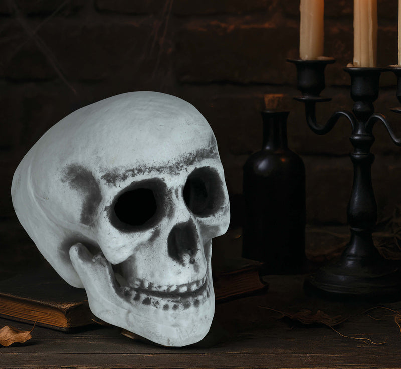 SKULL 30 CMS