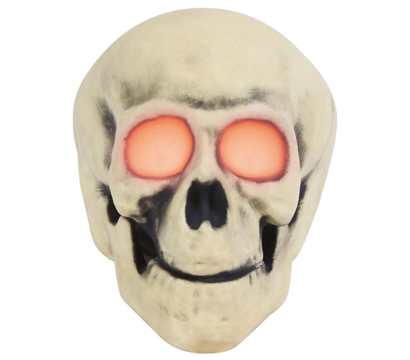 SKULL 30 CMS