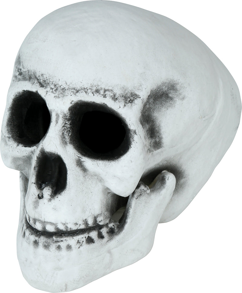 SKULL 30 CMS