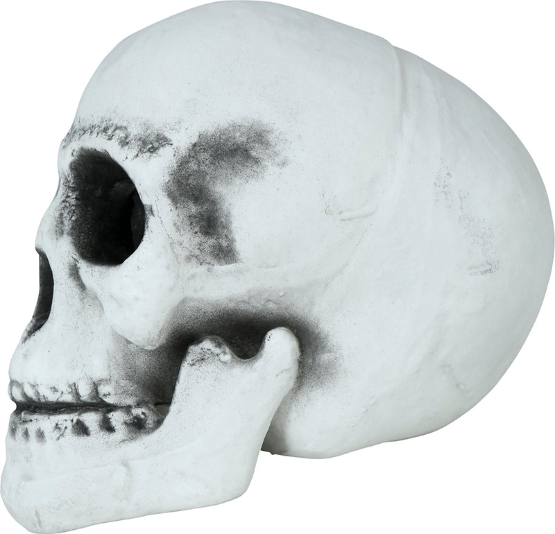 SKULL 30 CMS