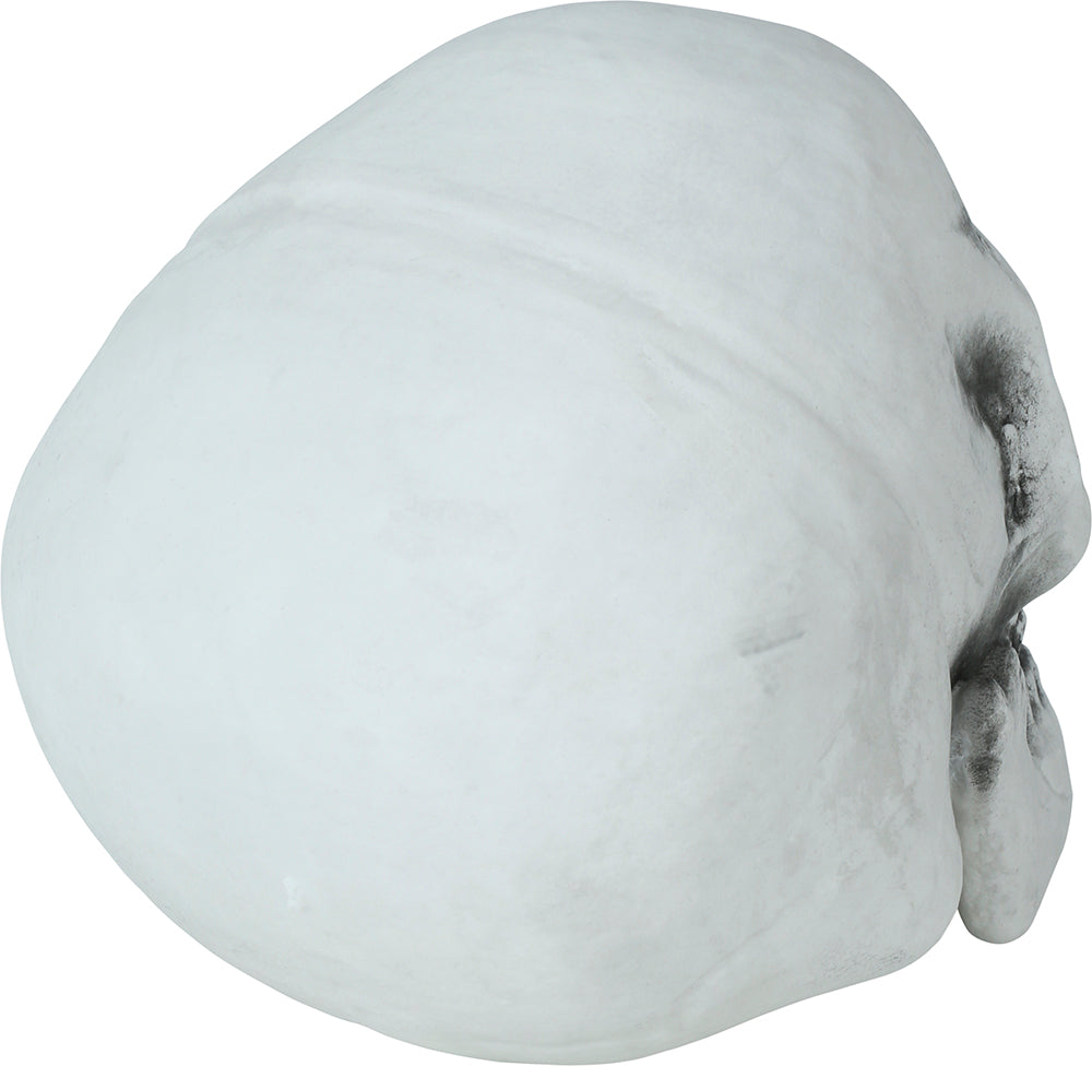 SKULL 30 CMS