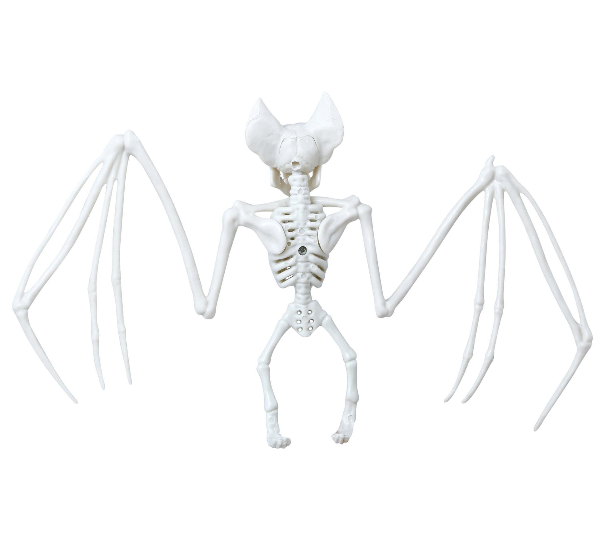 BAT SKELETON 30X16 CMS