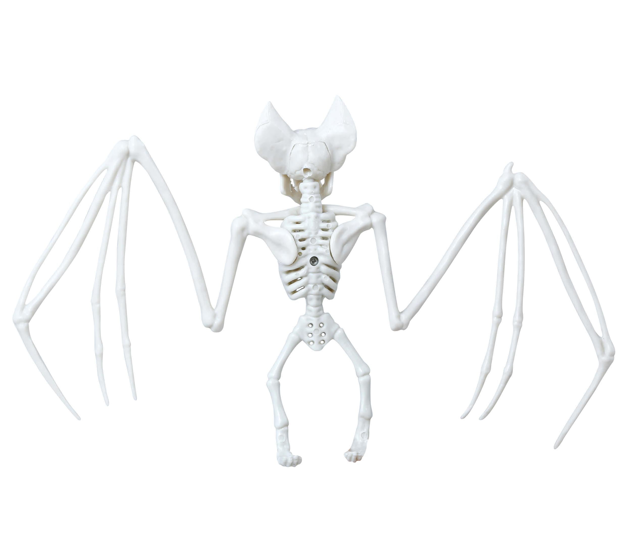 BAT SKELETON 30X16 CMS