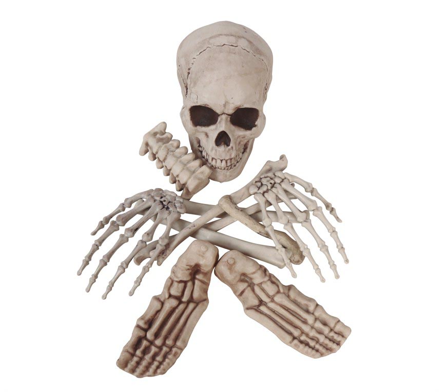 BAG OF 12 BONES