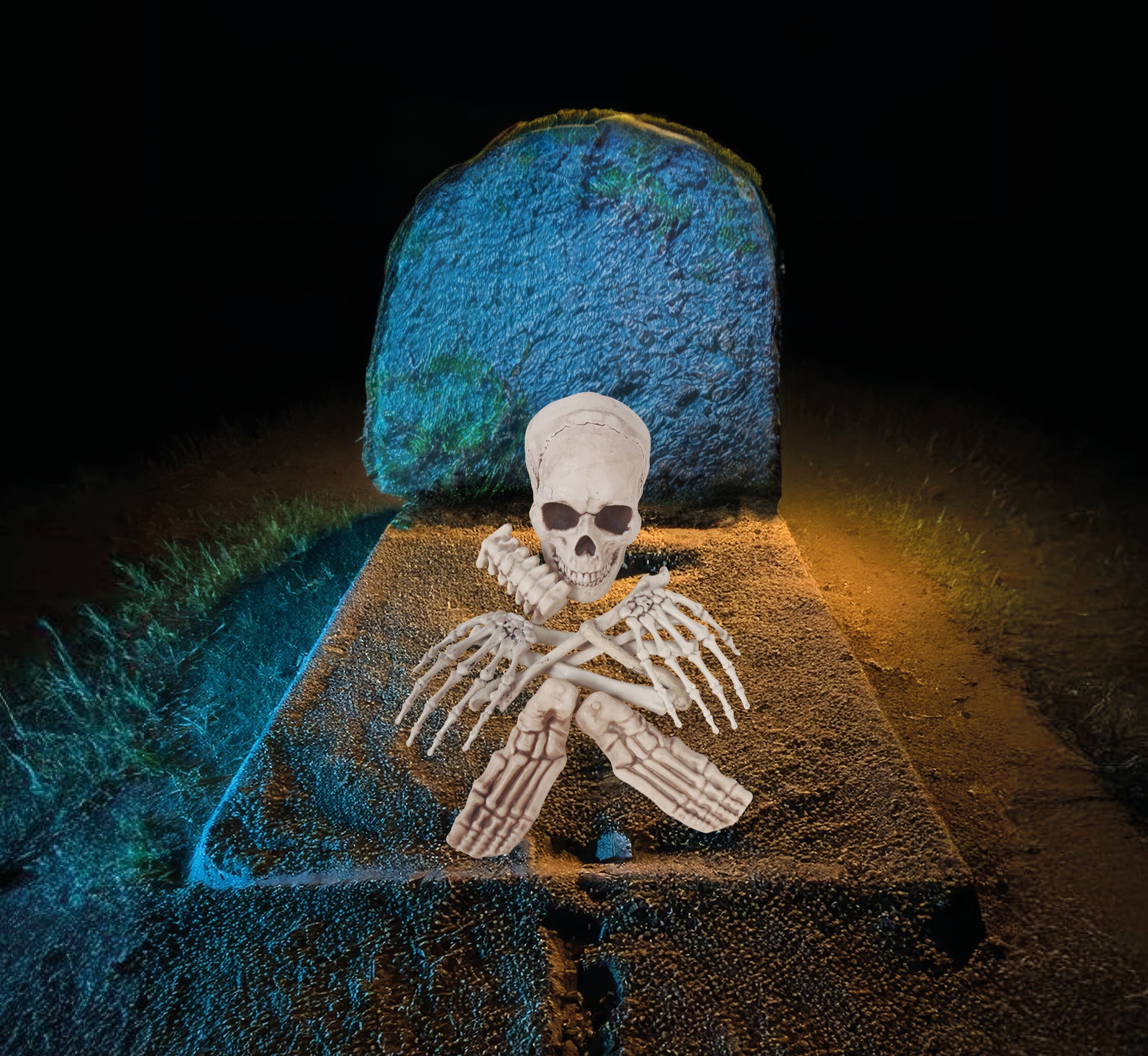 BAG OF 12 BONES