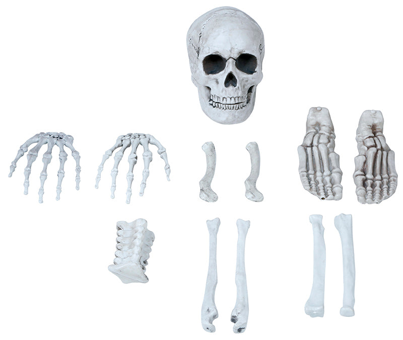BAG OF 12 BONES