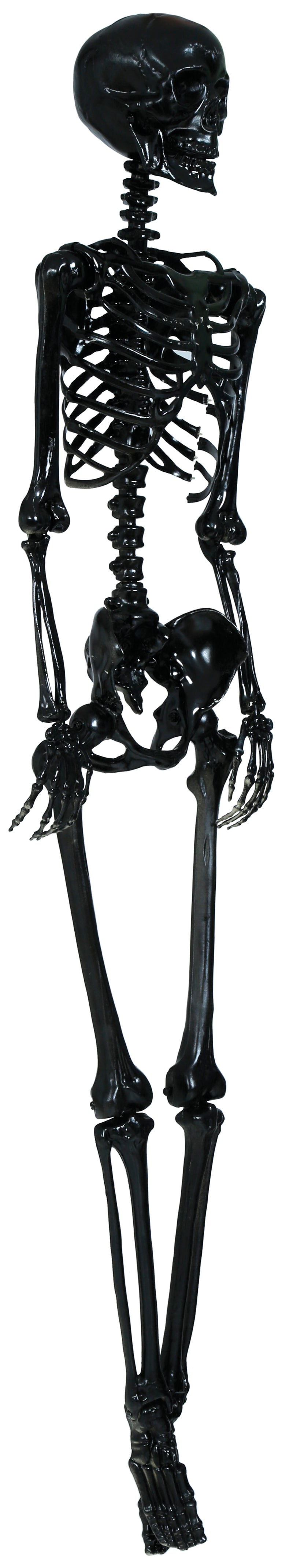 SKELETON 90 CM