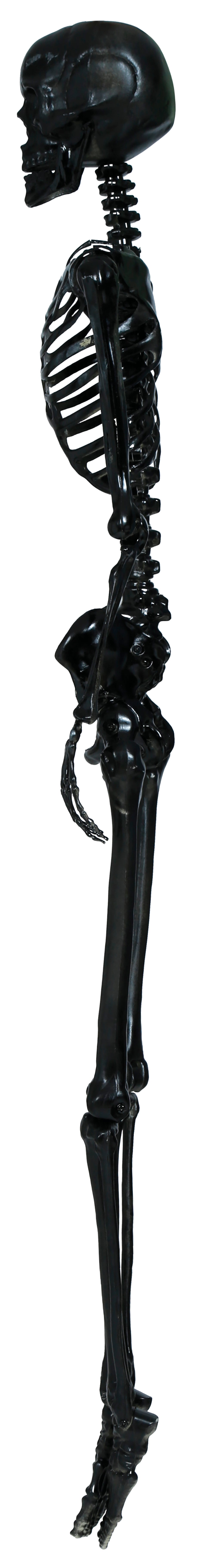 SKELETON 90 CM