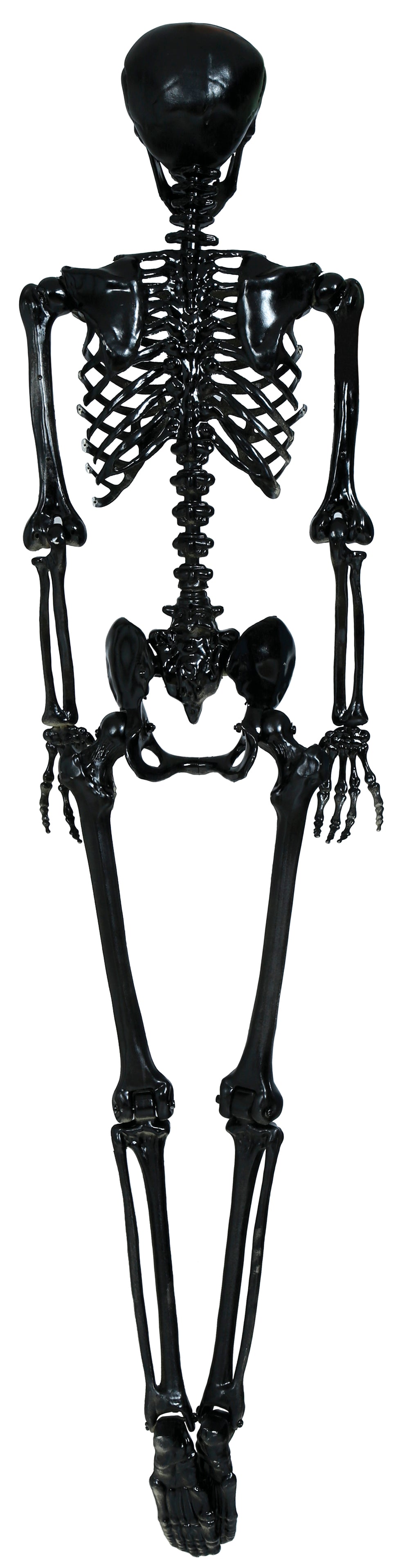 SKELETON 90 CM