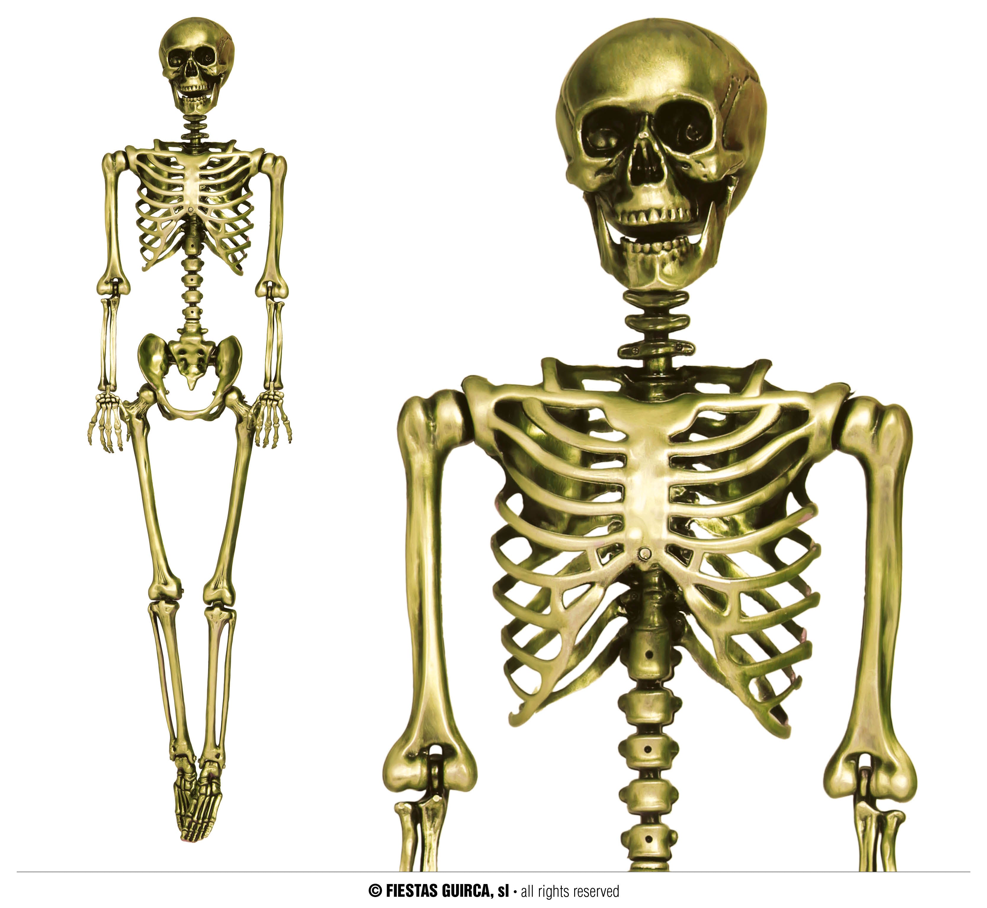 SKELETON 90 CM
