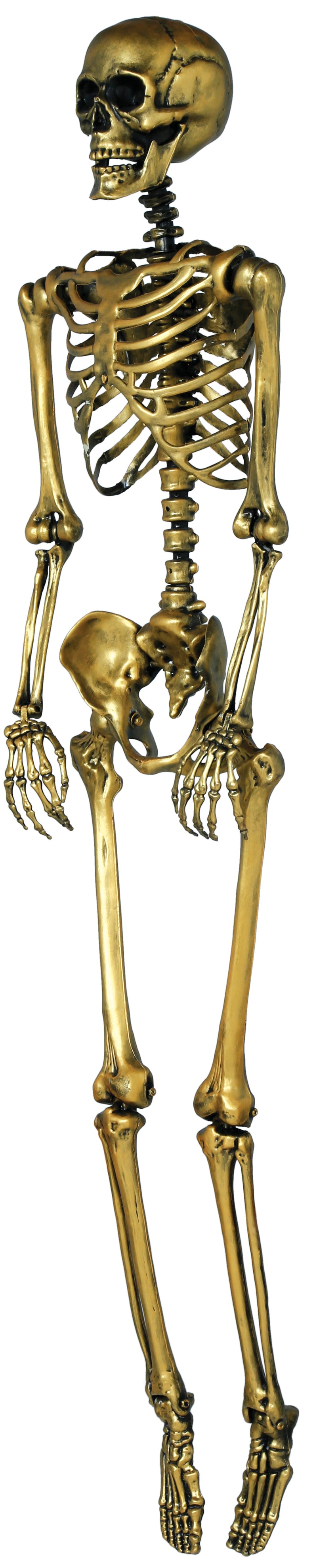 SKELETON 90 CM